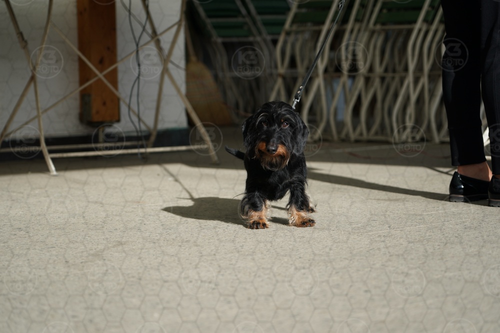s_A9_00040.jpg